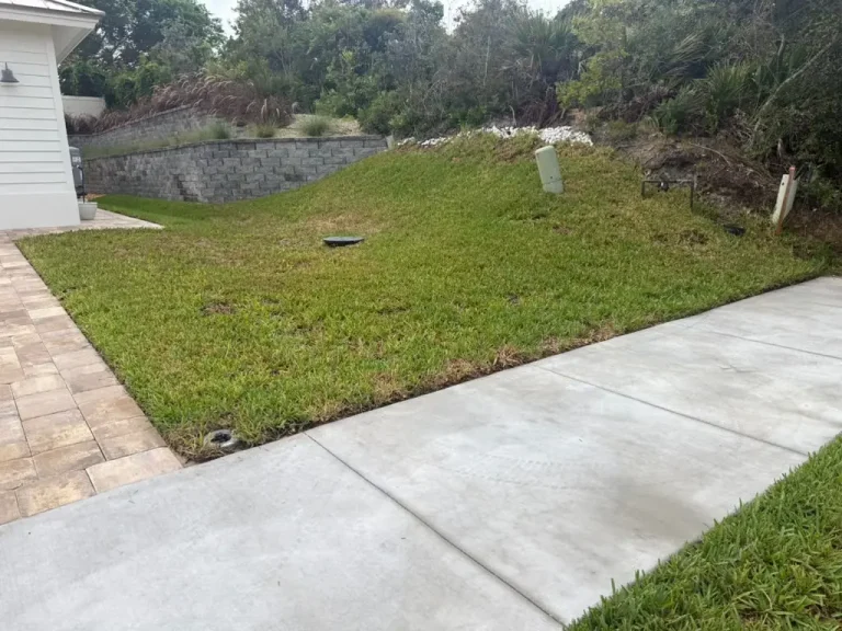 Finished sod lawn beside a walkway