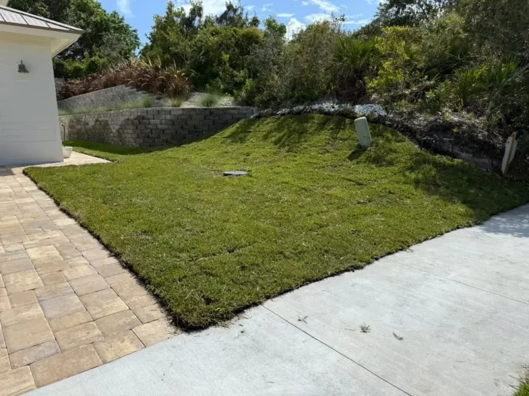 Fresh sod lawn beside a paver walkway