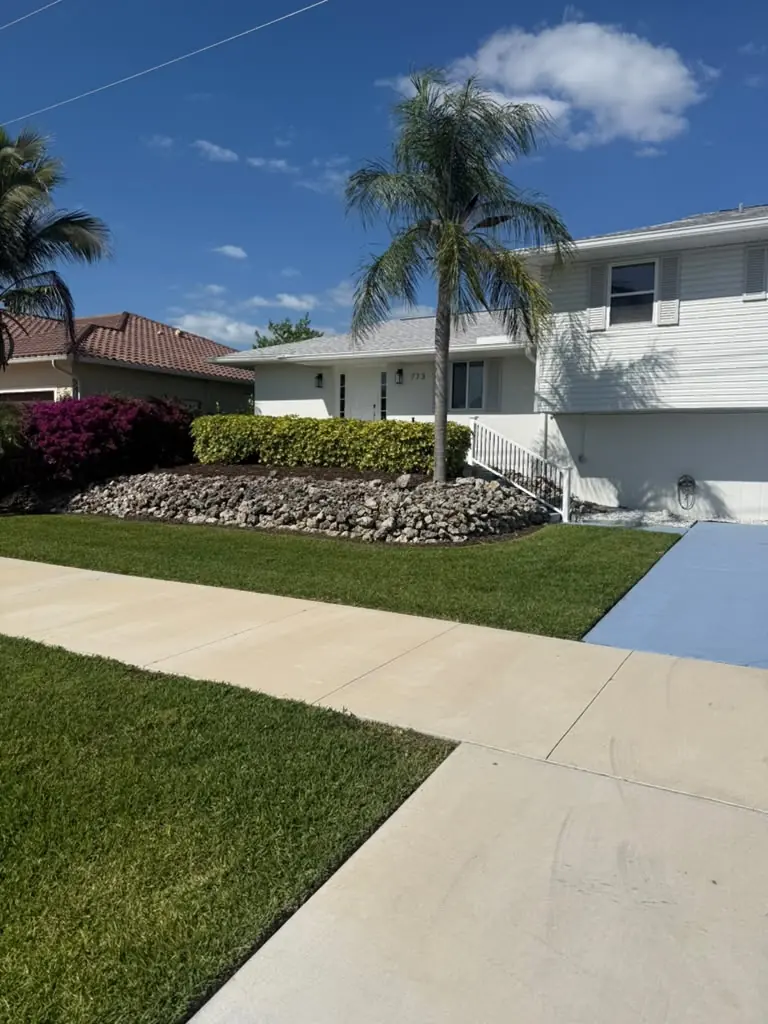 Healthy front lawn with palm tree at a Florida home