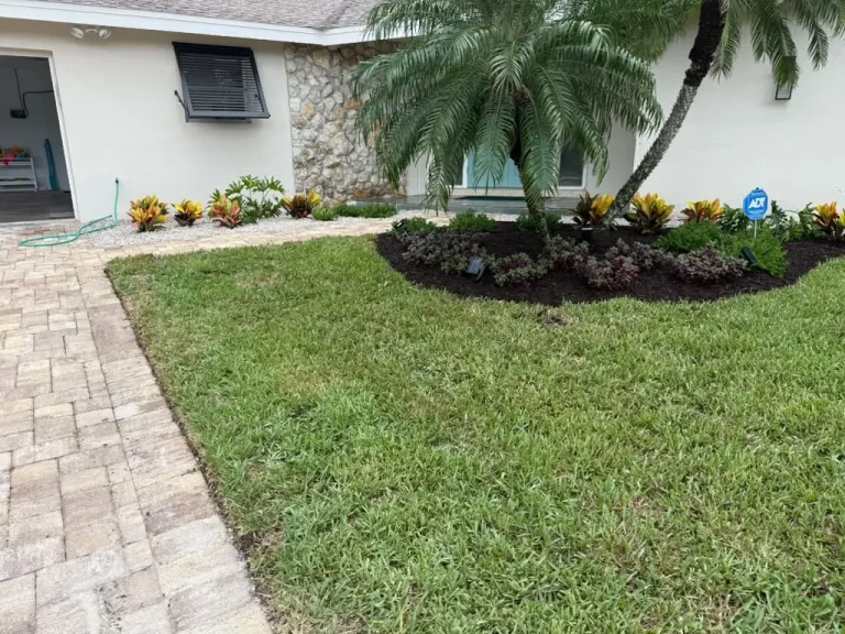 Green lawn with palm and mulched landscape bed