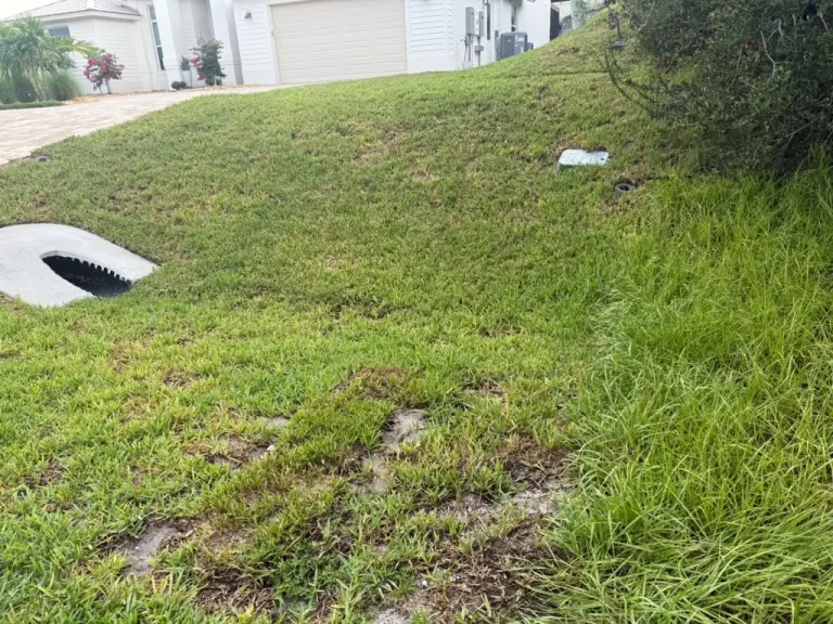 Lawn slope maintenance