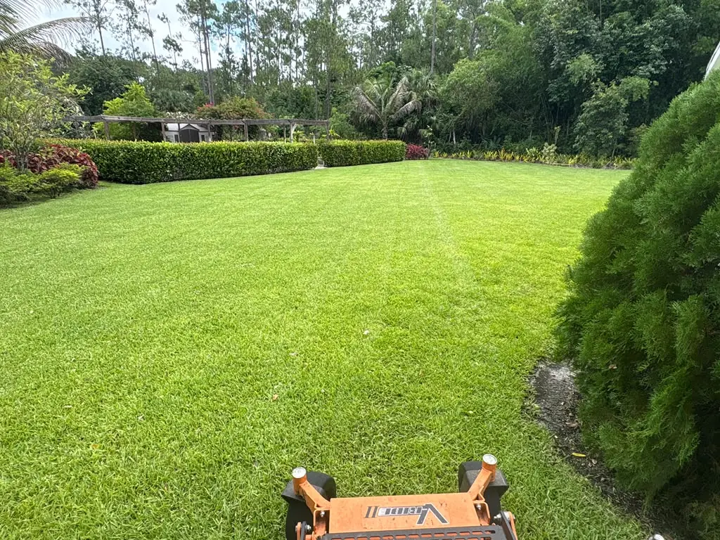 Freshly mowed backyard lawn