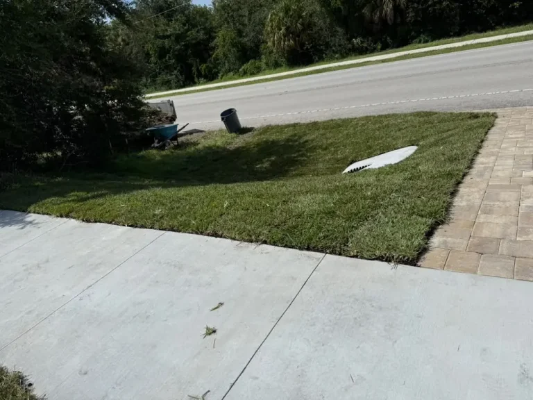 New sod installation next to a driveway