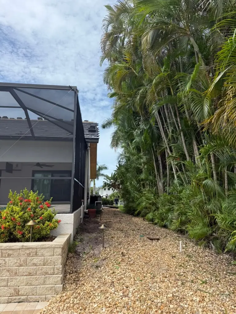 Palm side yard landscaping with planter