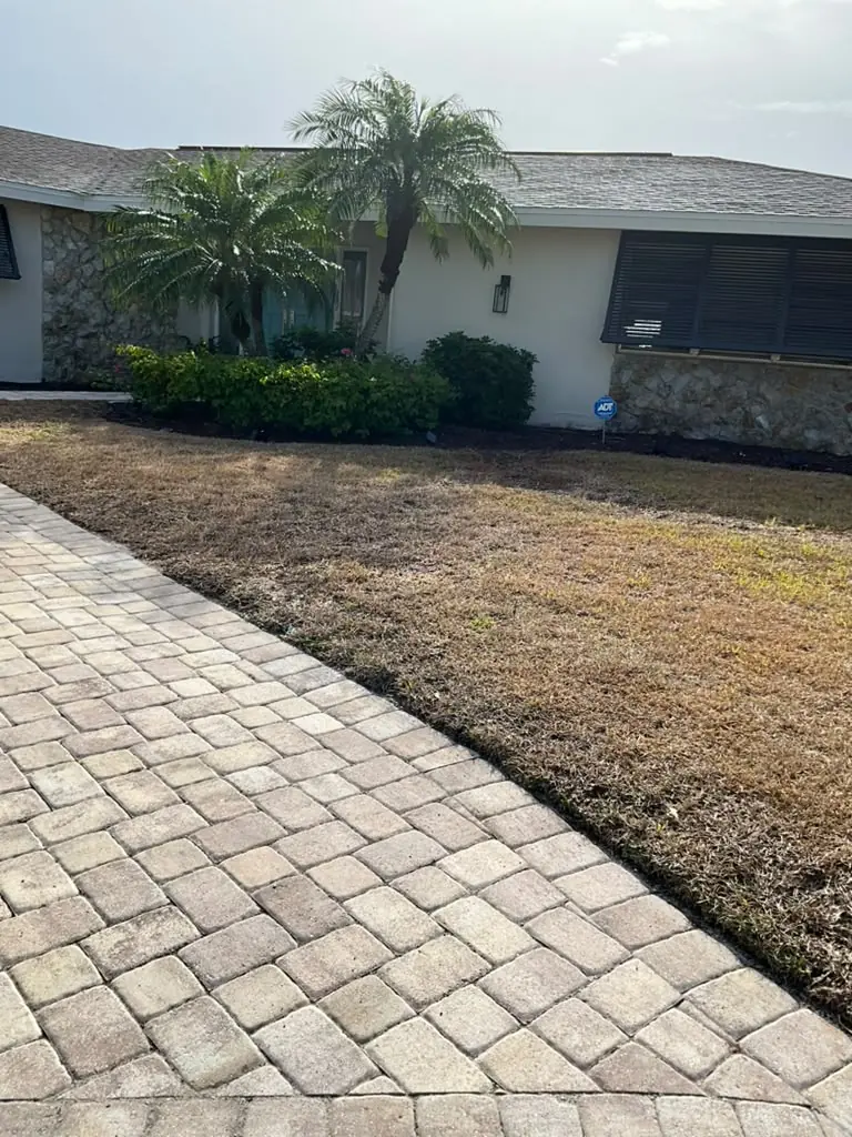 Paver walkway through a front yard
