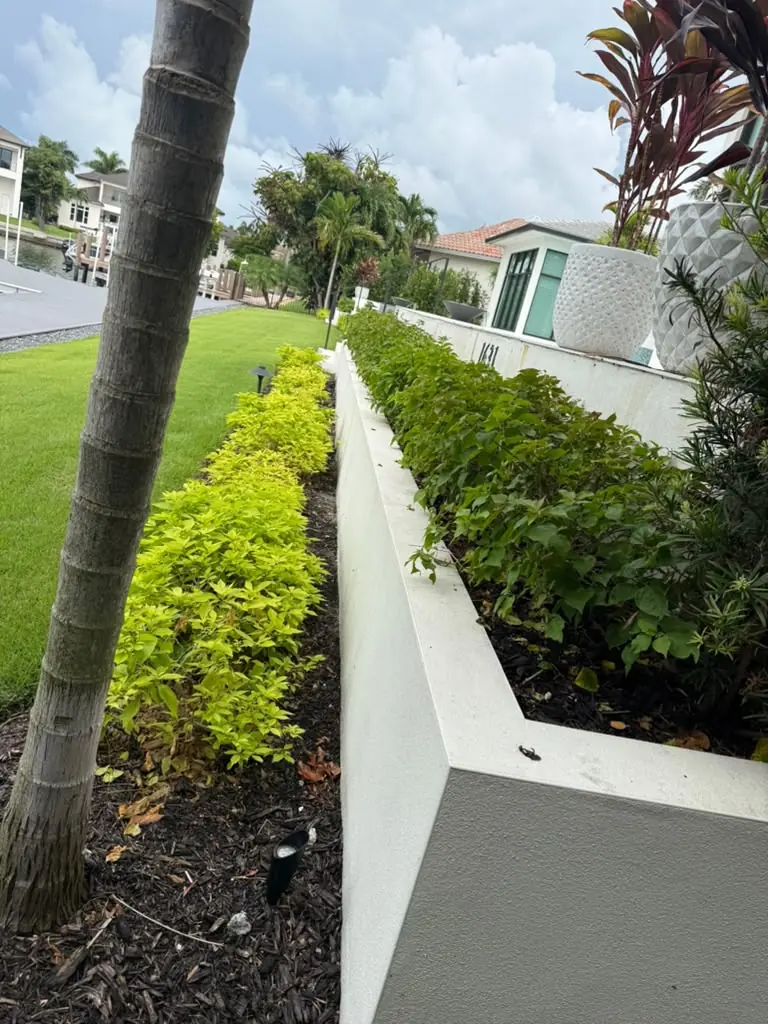 Neatly trimmed hedges along a garden wall