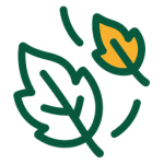 Seasonal cleanups icon